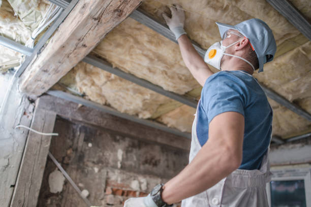 Best Spray Foam Insulation in Montgomery, MN