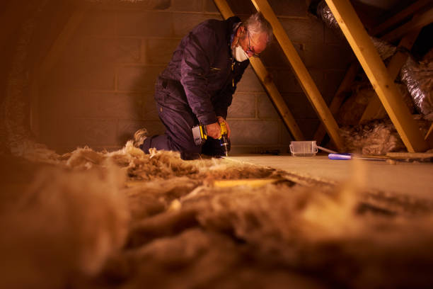 Best Geographic-Specific Insulation Services in Montgomery, MN
